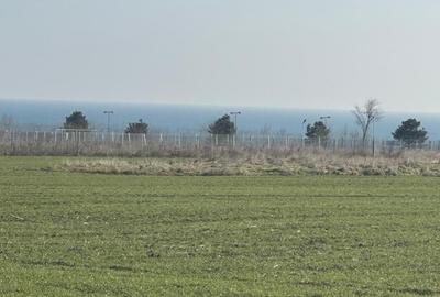 Teren Corbu- 2 hectare-  iesire la mare - 3