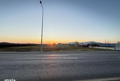 Teren de 5000 mp, în Brănești - 2