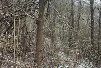 Spațiu comercial, în Colțirea