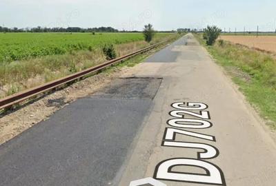 Teren de 55000 mp, în Căteasca - 1