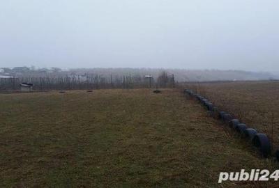 Teren de 11860 mp, în Călugăreni - 8