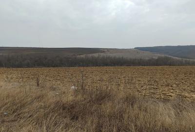 Spațiu comercial, în Podu Turcului - 4