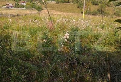 Spațiu comercial, în Central