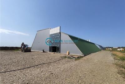 Royal Imobiliare - Inchirieri Spatii industriale/ Hale - 1