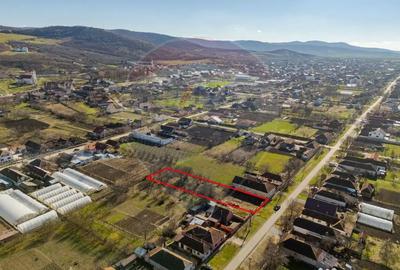 Teren de 1295 mp, în Șiria - 3