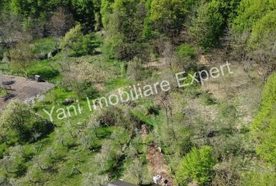 Teren de vanzare in Baicule?ti, Judet Arge?. - 5