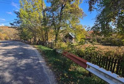 Teren de 5404 mp, în Vernești - 5