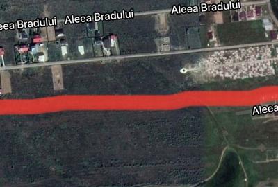 Teren de 14935 mp, în Trivale - 4