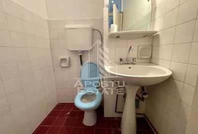 Apartament cu 3 camere decomandat în Buziașului - 9
