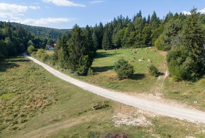 Investitie premium in turism-teren 6800mp langa lacuri Vulcan Brasov - 19
