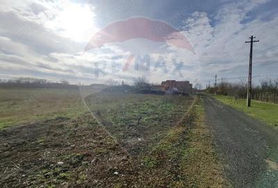 Teren de 1330 mp, în Drăgoiești