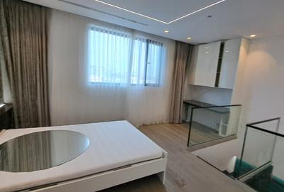 Apartament cu 4 camere decomandat, mobilat în Herăstrău - 58