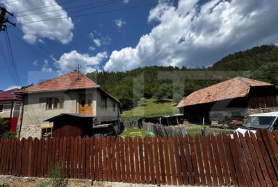 Casă cu 3 camere cu Teren 6000 Mp în Ampoița - 1