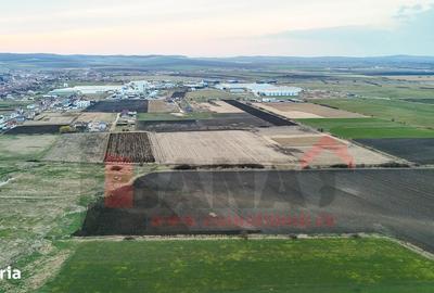 Teren de 70000 mp, în Șura Mică - 8