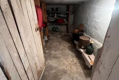 Casă individuală cu 4 camere cu Teren 2700 Mp în Ragla - 7