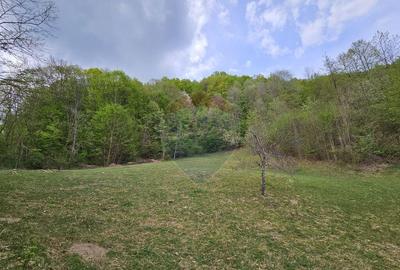 Teren superb, intravilan - la marginea padurii ! - 15