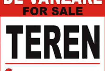 TEREN INTRAVILAN VASLUI - 1