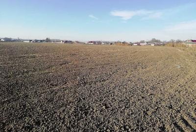 Spațiu comercial, în Săucești - 2