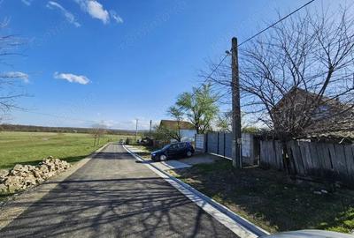 Vanzare teren 4606 mp - Sat Balta - Runcu - la aproximativ 20 km de Targu Jiu - 2