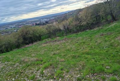 Teren Intravilan | Constructii | 734 mp | Baia Mare | Strada Miron Costin - 10