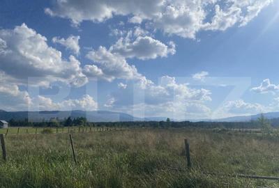 Teren de 3850 mp, în Central