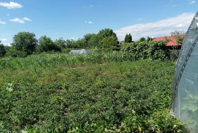 CASĂ DE VANZARE - 14