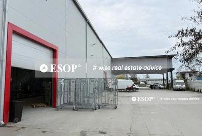 Hala industriala PREMIUM, zona Centura - Mogosoaia, 2450mp, ID 15425 - 11