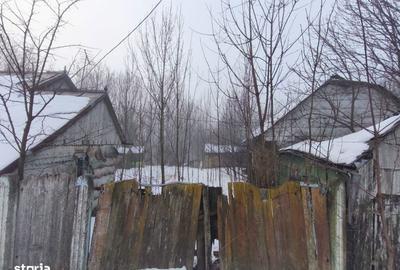 Casă cu 3 camere cu Teren 5000 Mp în Bălcăuți - 5