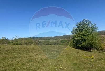 Teren agricol extravilan de 6322 mp, în Central - 8