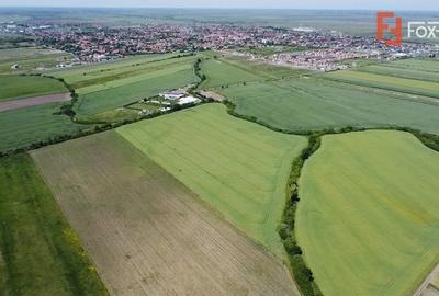 COMISION 0% Oportunitate de investitie in Sacalaz: Teren Extravilan de 9.900MP COMISION 0% Oportunitate de investitie in Sacalaz: Teren Extravilan de 9.900MP - 4