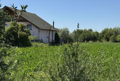 Teren de 2000 mp, în Hălchiu - 3