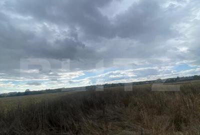 Teren extravilan, 2500 mp, zona Lucieni - 1