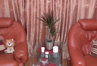 Apartament cu 2 camere semidecomandat în Baraolt - 3
