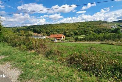 Teren de 1000 mp, în Paleu