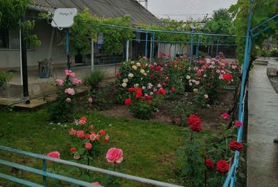 Casă cu 3 camere în Beștepe - 2