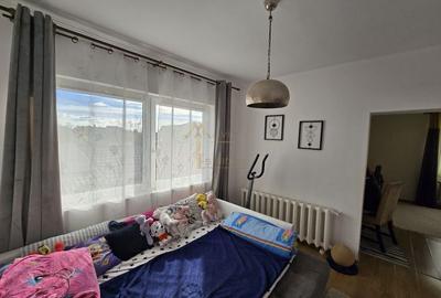 Satu Mare, Zona Titulescu, Oportunitate pentru familie mare sau firme. - 14