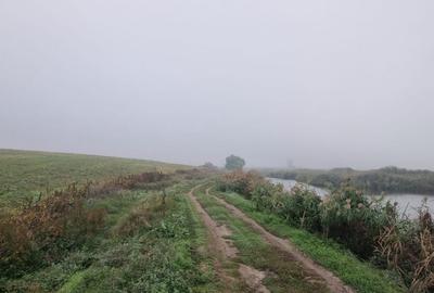 Creata  -  Dascalu teren de vanzare - 7567 mp cu dublu acces langa lac - 10