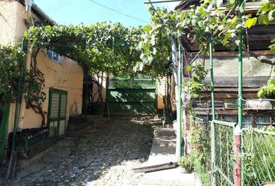 Casă cu 3 camere cu Teren 1000 Mp în Daia (Apold) - 1