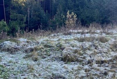 Teren intravilan, 20000 mp, zona Manastirea Humorului - 4