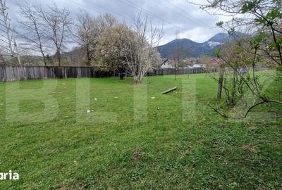 Teren de 4300 mp, în Baciu - 7