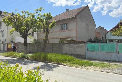 Casă individuală cu 7 camere cu Canalizare în Elisabetin - 20