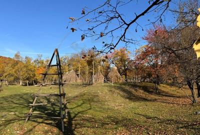 Teren Salatrucu - 7500 mp - 7