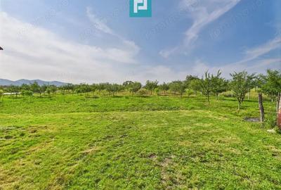 Casa cu teren de 4707 mp in Halmagel, jude?ul Arad - 2