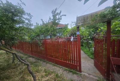 Casă cu 3 camere în Slătioarele - 7