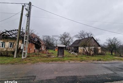 Casă cu 4 camere cu Teren 4600 Mp în Gepiu - 2