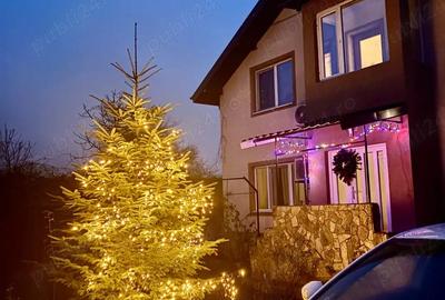 Casă în Lumina