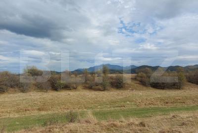 Teren de vanzare in Rasnov zona Glejerie, 10.000 mp - 7