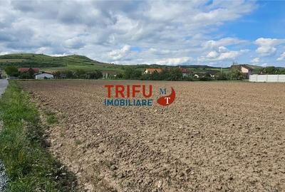 Teren de 2000 mp, în Ighiu - 6