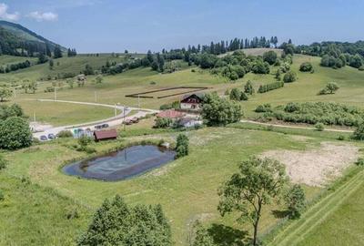 Casă cu 10 camere cu Teren 13400 Mp în Vama Buzăului - 8