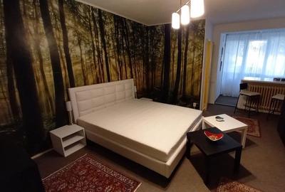 Garsonieră semidecomandată în Berceni